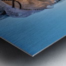 Venice Italy. The Carnival Metal print