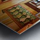 Vicenza Veneto Italy. The interiors of the Villa Valmarana ai Nani frescoed  by Giambattista and Giandomenico Tiepolo Metal print