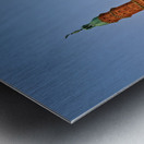 Vicenza Veneto Italy. The Basilica Palladiana is a Renaissance building in the central Piazza dei Signori in Vicenza Metal print