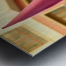 Zaragoza. Saragossa. Aragon. Spain.  Processions of the Easter Holy Week Metal print