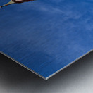 Zaragoza Spain. Cathedral of the Savior of Zaragoza. Catedral del Salvador   La Seo. Museo del Foro de Caesaraugusta Metal print