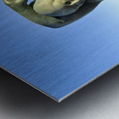 Sitges Catalunya Spain. Sculpture of the Queen of the Seas by Pedro Jimenez Corona on Mazatlans Malecon Metal print