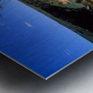 A gnarled tree overlooks a river in a vast canyon. Metal print