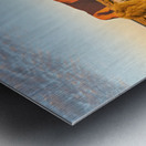 Tourists watch Uluru glow at sunrise. Metal print