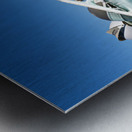 Visit to Museu de les Ciencies Principe Felipe in Valencia Spain Metal print