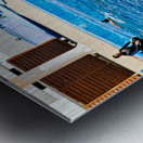 Dolphins perform tricks at Oceanografic in Valencia Spain Metal print