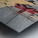 Red potatoes on display for sale in Tokyo market area Metal print