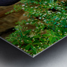 Elderly man with a beard poses near a historical building in a g Metal print