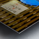 Restaurants in Gion district of Kyoto offer local dishes and dri Metal print