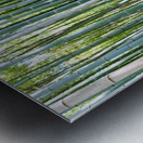 Buddhist monk takes pictures in Arashiyama Bamboo Grove in Japan Metal print