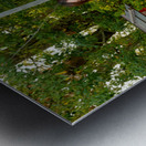 Young women in traditional kimono at Yasaka Shrine in Kyoto Metal print