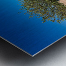 Classic car wreck in Namibias desert landscape near a structure Metal print