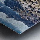 Cape fur seals resting on Skeleton Coast in Namibia near Cape Cr Metal print