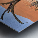 Dried camel thorn trees in Deadvlei pan in Namibia Metal print