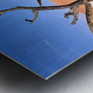 Dry camel thorn tree in Deadvlei clay pan of Namibia Metal print