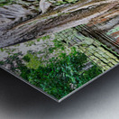 Ancient temple ruins overgrown by massive tree roots and moss. Metal print