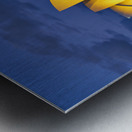 Sydney Opera House illuminated at dusk with harbor lights. Metal print