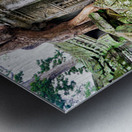 Ancient temple ruins overgrown by trees and moss. Metal print