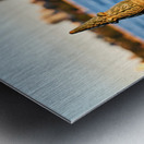 Sydney Opera House seen through a fence Metal print