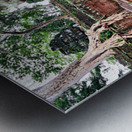 Angkor temple ruins consumed by nature. Metal print
