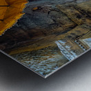 Ancient multi armed statue yellow fabric inside stone temple. Metal print