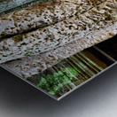 Giant tree roots engulf ancient temple ruins. Metal print