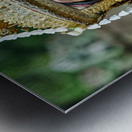 Smiling Cambodian dancer in traditional golden costume and crown Metal print