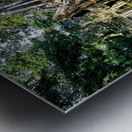 Ancient temple ruins overgrown by massive tree roots. Metal print