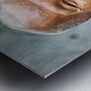 Smiling elderly Asian woman in white robe. Metal print