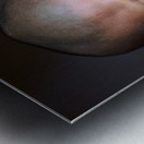 Young Buddhist monk in orange robe close up portrait. Metal print