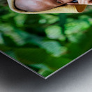 Smiling monk talks on phone with towel on head. Metal print