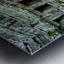 Ancient temple ruins intertwined with giant tree. Metal print