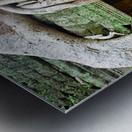Massive tree roots dominate ancient mossy temple structure. Metal print