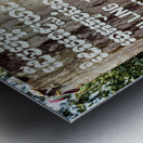 Cambodian Killing Tree a poignant memorial for children. Metal print