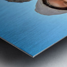 Portrait of children in Damaraland village in Namibia Metal print