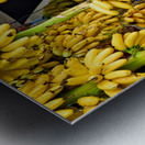 Market vendor surrounded by abundant yellow bananas. Metal print