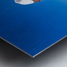 Shepherd holds his young goats in Namibia under bright blue sky Metal print