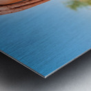 Portrait of a Himba woman in Namibias Kunene region Metal print