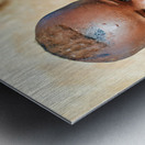 Children in himba village of kunene region namibia Metal print