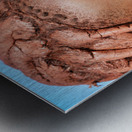 Portrait of a Himba woman in Kunene region of Namibia during the Metal print