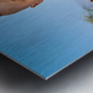 Himba child holding a goat in Kunene Region of Namibia Metal print