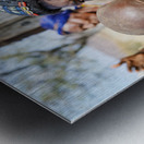 Portrait of young Zemba woman holding child in Kunene Region Metal print