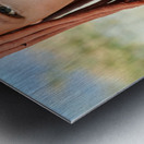 Portrait of a Himba woman in Kunene region of Namibia Metal print