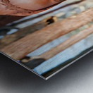 Traditional hair headdress of a woman in Himba village of Namibi Metal print