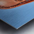 Portrait of a Himba woman in Kunene region of Namibia Metal print