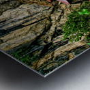 Bhutans Tigers Nest Monastery cliffside architecture prayer  Metal print