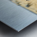 Zebras cuddle together in the wild at Etosha National Park in Na Metal print