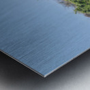 Giraffes walking together in Etosha National Park Namibia Metal print