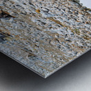 Giraffe drinks water at a waterhole in Etosha National Park Nam Metal print