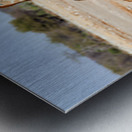 Giraffe drinks water at a waterhole in Etosha National Park Nami Metal print